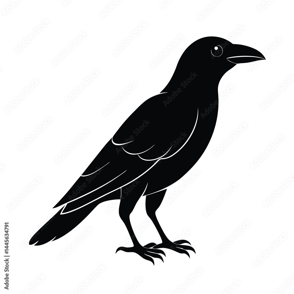 Obraz premium crow silhouette bird vector icon dark and strong