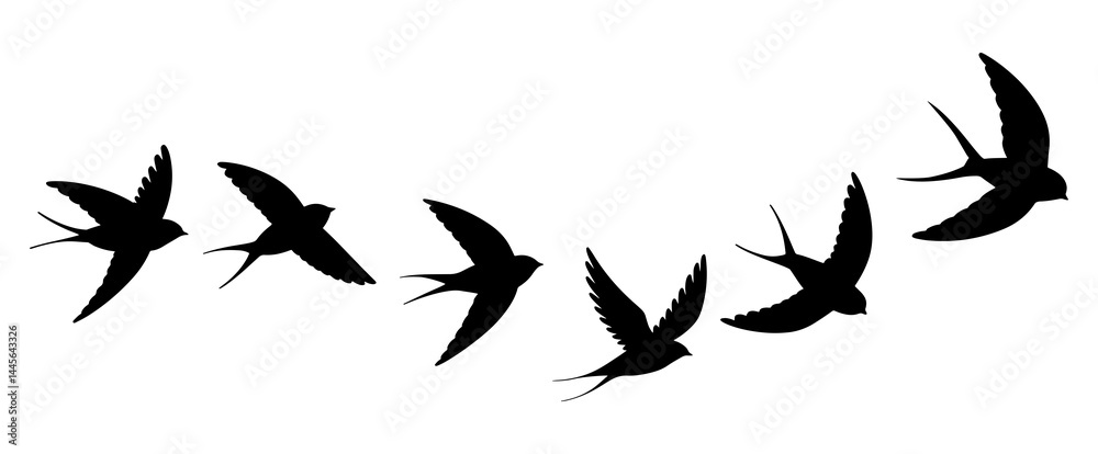 Fototapeta premium Flying Birds Silhouette Set. Swallow Flight Motion Vector Illustration.