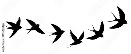 Flying Birds Silhouette Set. Swallow Flight Motion Vector Illustration.