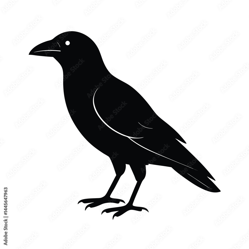 Fototapeta premium crow silhouette bird vector icon dark and strong