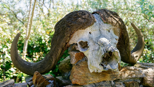 Totenkopf