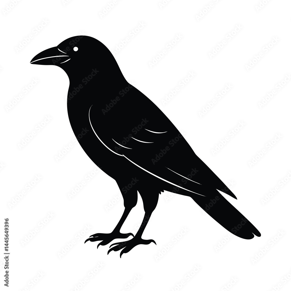 Obraz premium Crow Silhouette Bird Vector Icon Detailed and Sharp 4