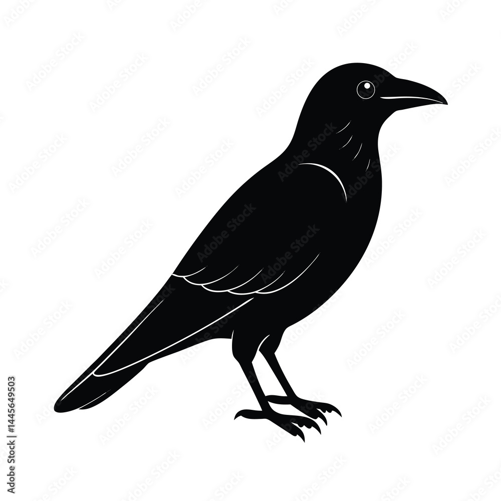 Obraz premium Crow Silhouette Bird Vector Icon Detailed and Sharp 13