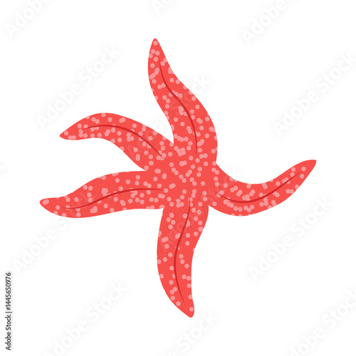 Starfish. Marine animal. Underwater life. Sea animal vector illustration. Cute sea or oceanic inhabitants on a white background.