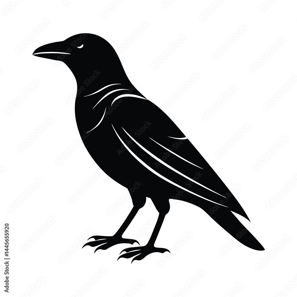 Fototapeta premium crow silhouette vector sleek and bold lines isol