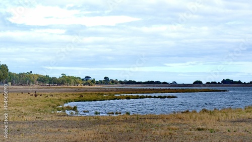 Foto Serene lakeside landscape with grassy shores.