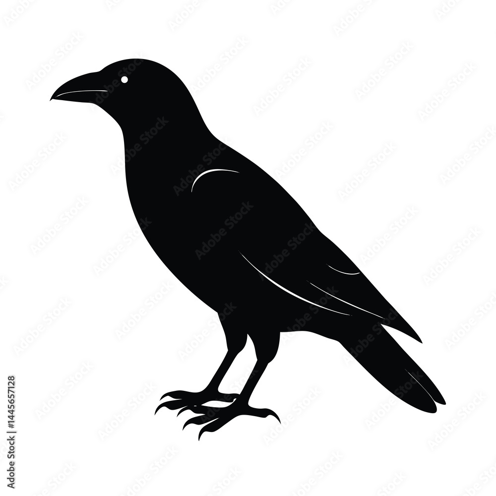 Fototapeta premium Crow Silhouette Vector Bold and Sleek Design Isol
