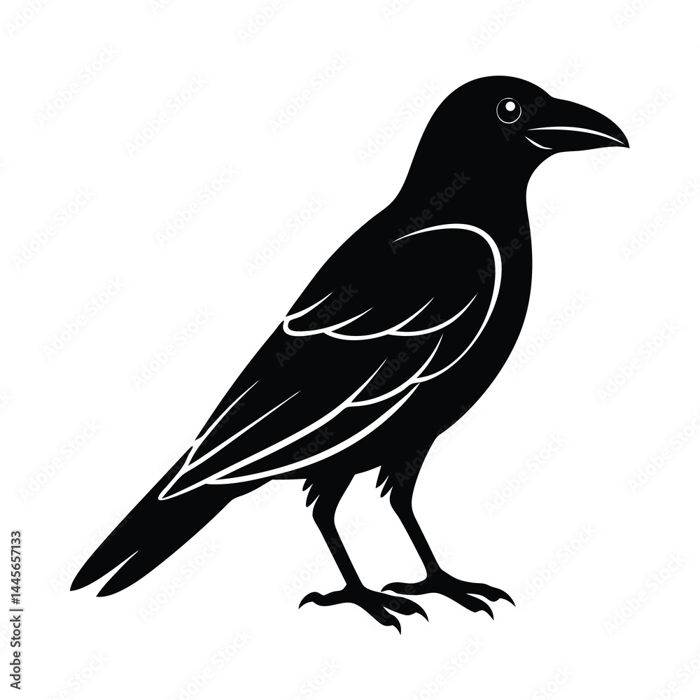 Fototapeta premium Crow Silhouette Vector Sleek and Bold Lines Isol
