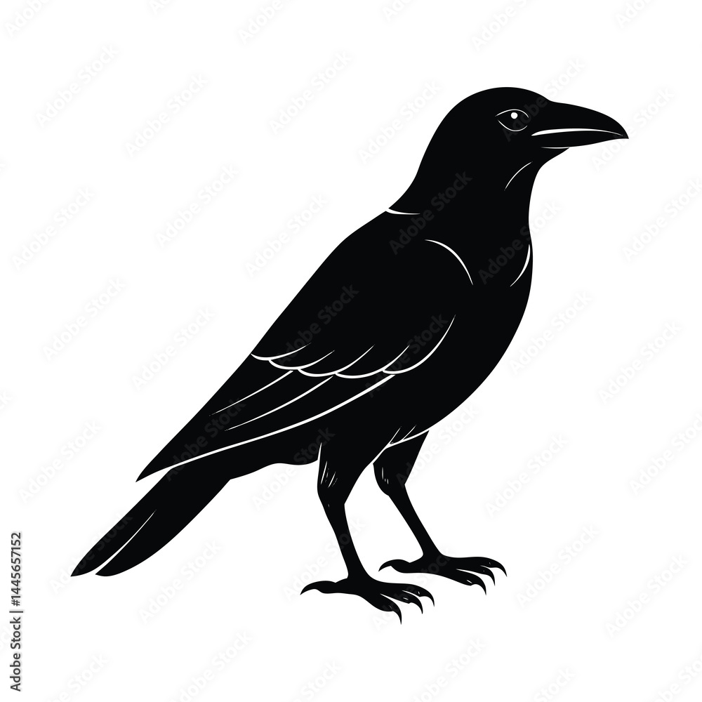 Obraz premium crow silhouette vector sleek and bold lines isol