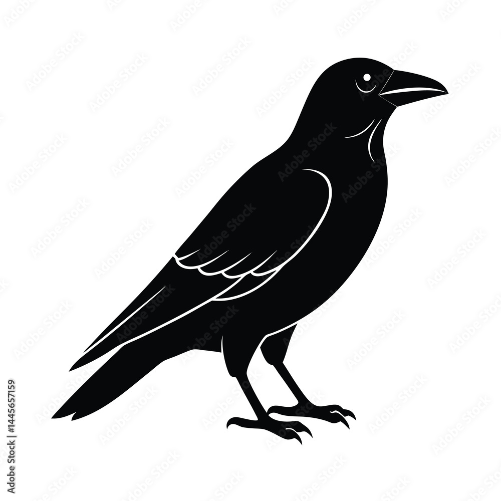 Fototapeta premium Crow Silhouette Vector Stylish and Bold Isol