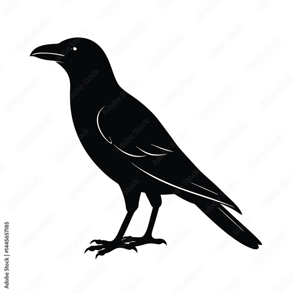 Fototapeta premium crow silhouette vector sleek and bold lines isol