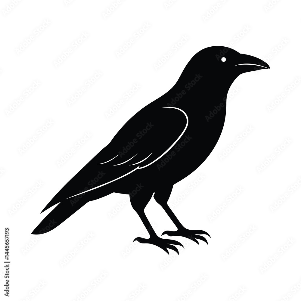 Fototapeta premium crow silhouette vector sleek and bold lines isol