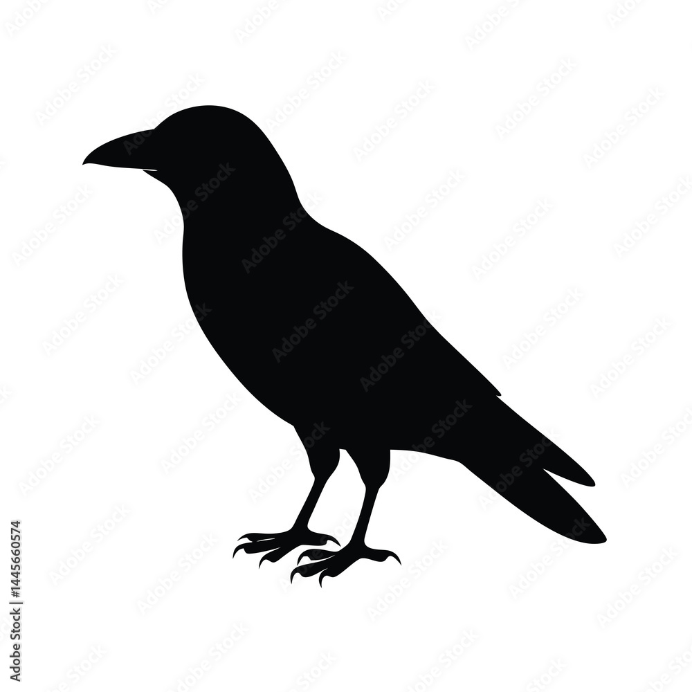 Fototapeta premium Minimalistic Crow Silhouette Vector Simple and Powerful4