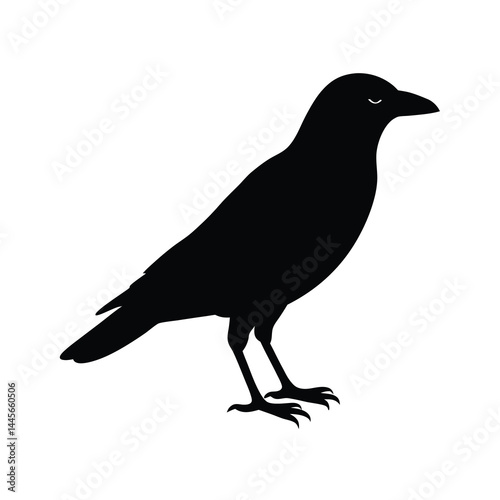 minimalistic crow silhouette vector illustration