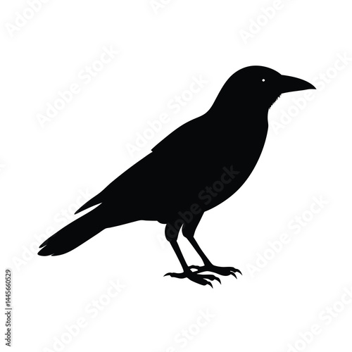 simple and poetic crow silhouette vector