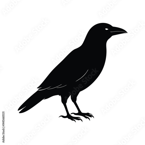 minimalistic crow vector art simple and poetic