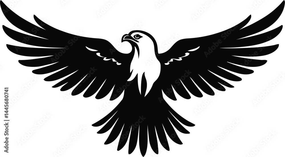 Fototapeta premium eagle stretches its wings