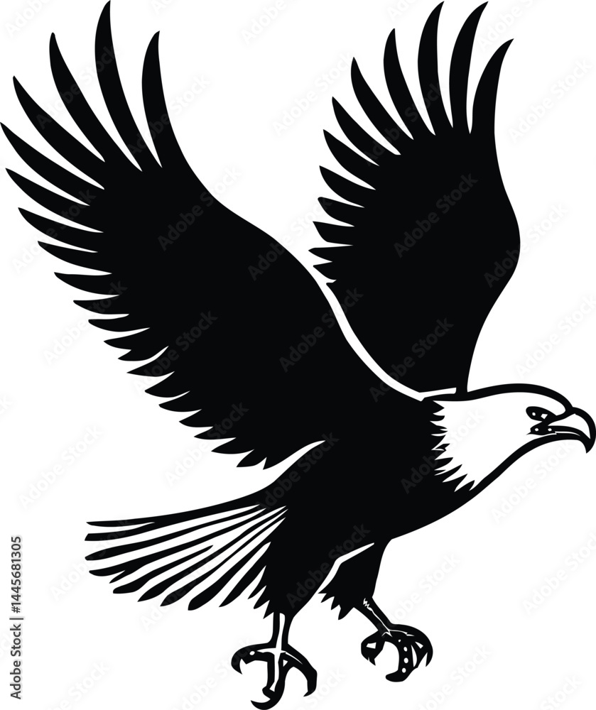 Obraz premium eagle flying silhouette