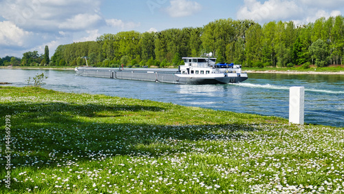Binnenschiff bzw. Lastkahn auf dem Rhein bei Neuburgweier photo
