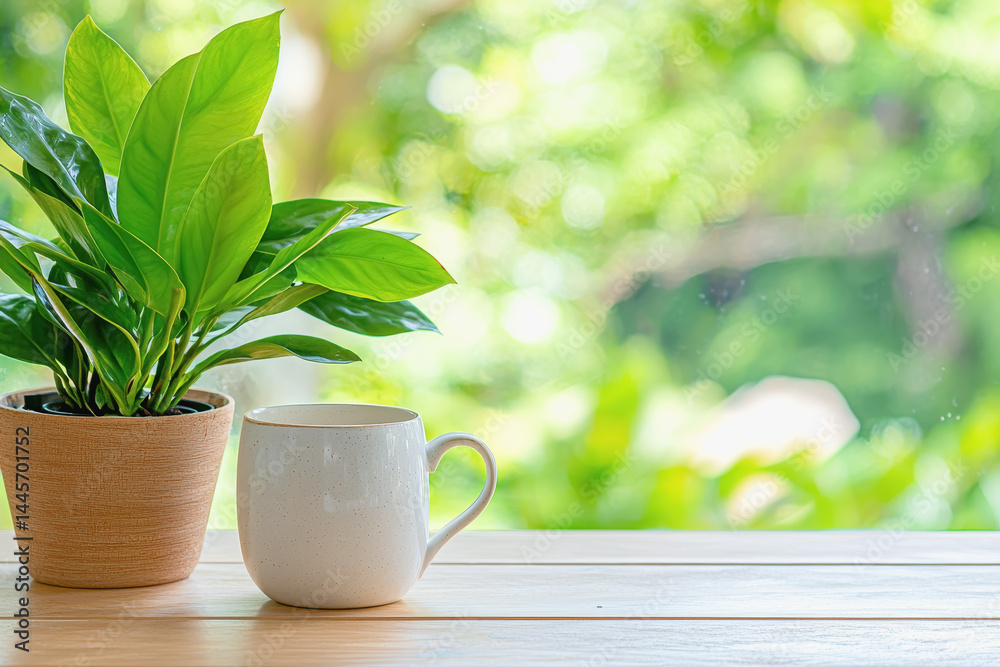 A simple green plant in a pot, contributing to a creative environment filled with natural elements and beauty A simple green plant in a pot, contributing to a creative environment filled with natural elements and beauty