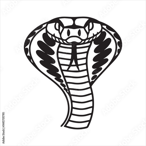 Deadly Puff Adder Snake in Defensive Posture – Venomous African Viper