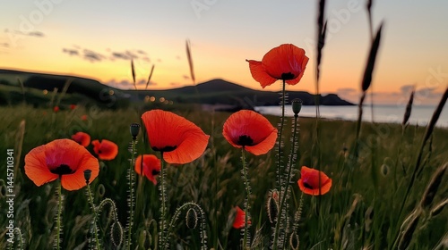 Obraz na płótnie Vivid red poppies flourish with beautiful view during the sunset w salonie