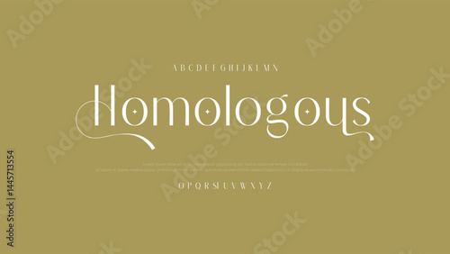 Lettering Minimalist Fashion. Elegant alphabet letters serif font and number. Typography fonts regular uppercase, lowercase.