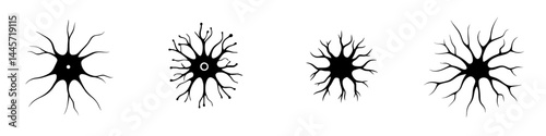 Vector illustration of neuron icons in black and white showcasing different structures and designs for educational or research purposes