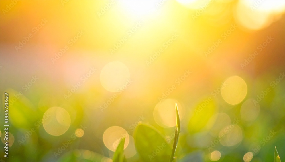 Obraz premium spring background with grass