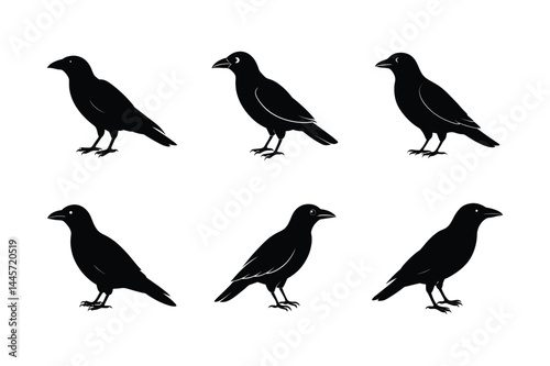 Crow Vector with Spread Wings