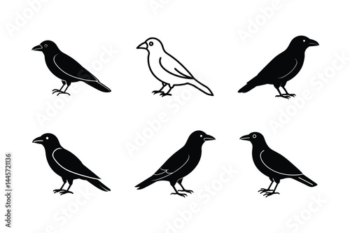 Crow Flying Illustration Silhouette