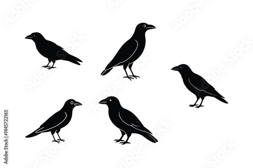 Airborne Crow Silhouette Clipart
