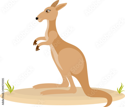 Cute zoo. Vector animals. Kangaroo. Vector collection of animals. Isolated