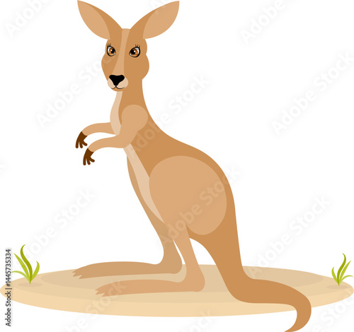 Cute zoo. Vector animals. Serious kangaroo. Vector collection of animals. Isolated
