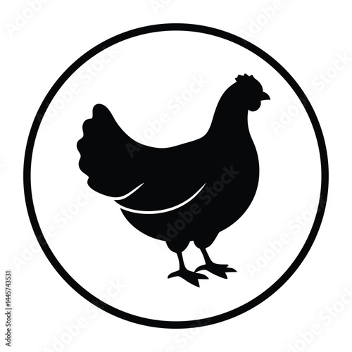 vector illustration of a chicken