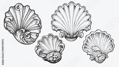 Baroque shell ornament engraving style