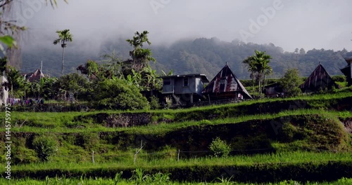 Traditional Balinese village nestled in the mountains, showcasing unique architecture and lush green surroundings. Ideal for travel brochures and websites.