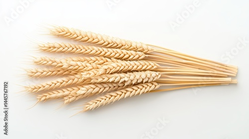 Obraz na płótnie A bundle of wheat ears neatly arranged in a row, showcasing their intricate textures. w salonie