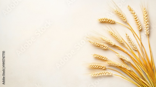 A clean and simple presentation of barley stalks fanned out on a neutral surface, ideal for agricultural branding and design use.