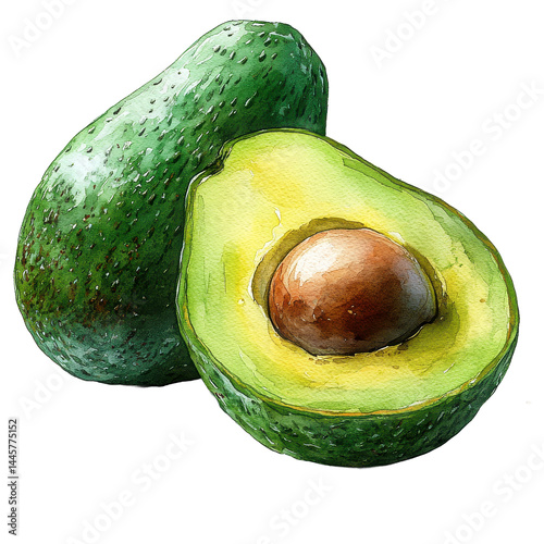 Fresh Ripe Avocados Watercolor Painting Halved and Whole Healthy Food Illustration