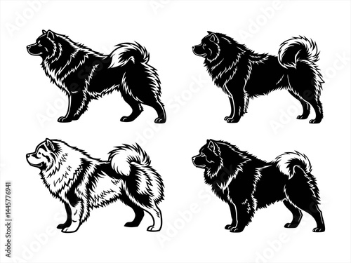 chow chow sihouette black vector bundle