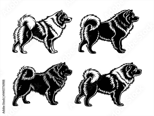 chow chow sihouette black vector bundle