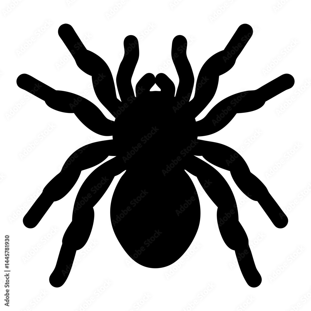 Stylized Silhouette of a Black Spider with Eight Legs on White Background Stylized Silhouette of a Black Spider with Eight Legs on White Background