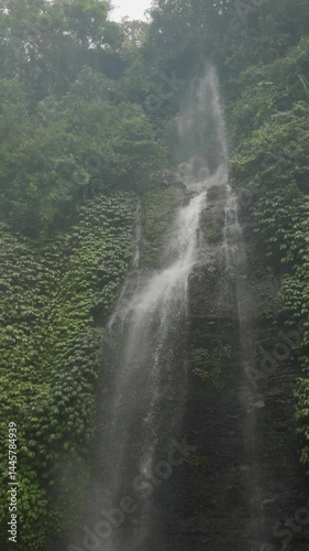 Cascada de Sekumpul con hojas en cámara lenta, Bali, Indonesia 