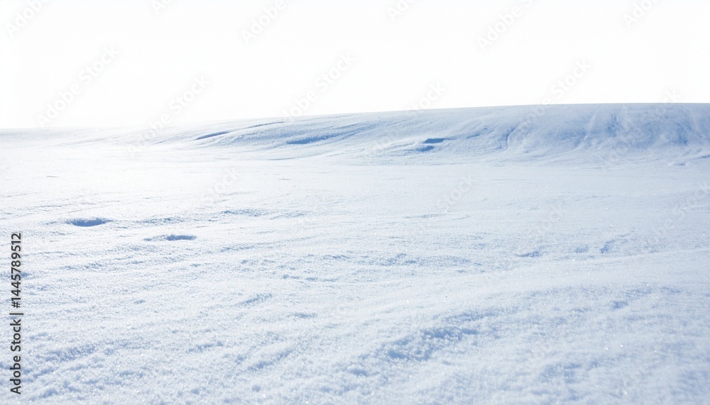 Obraz premium winter landscape with snow