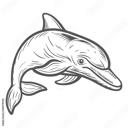 Common Bottlenose Dolphin Outline Illustration