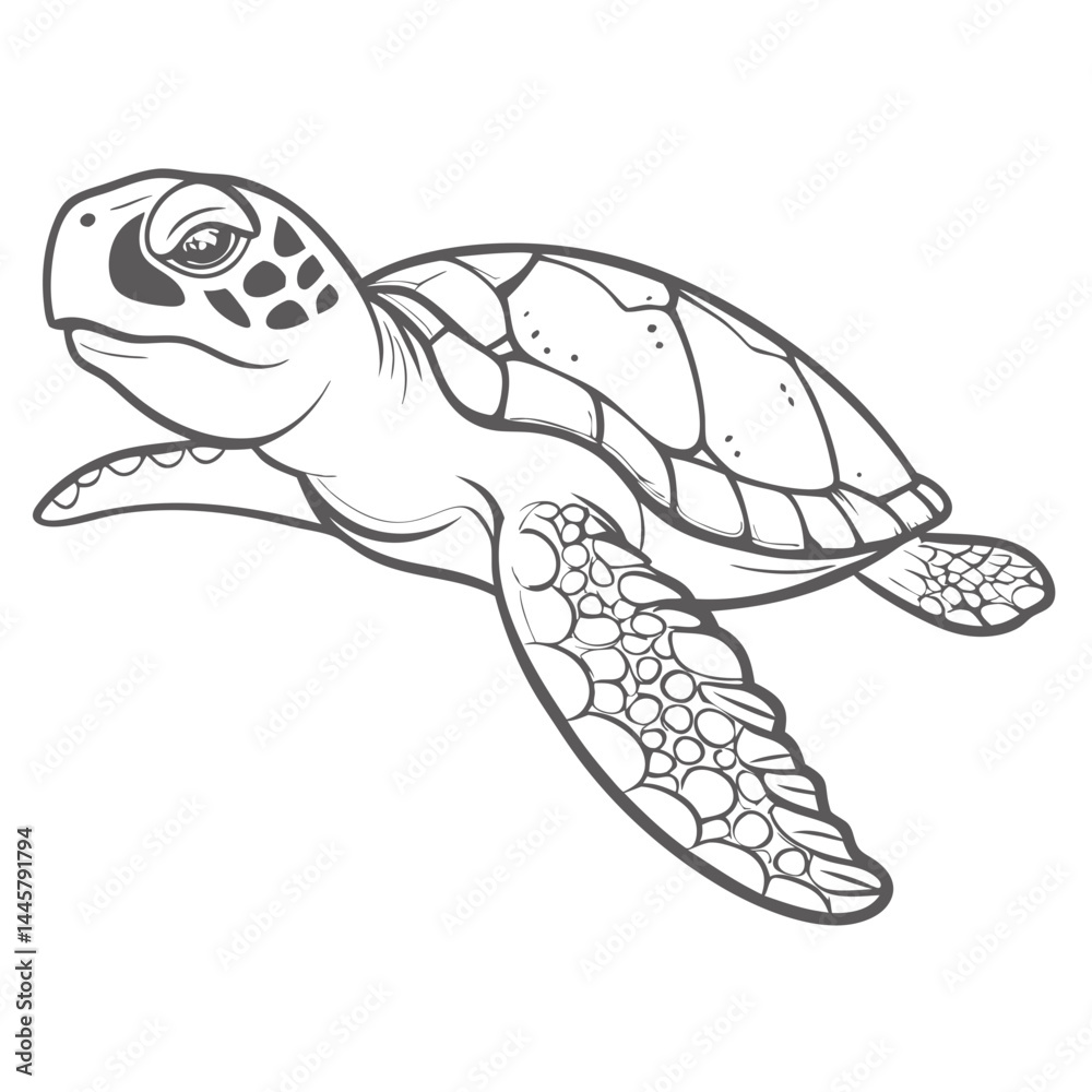 Naklejka premium Hawksbill Sea Turtle Line Art Illustration