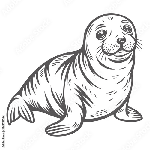 Cute Harp Seal Pup Line Art Illustration