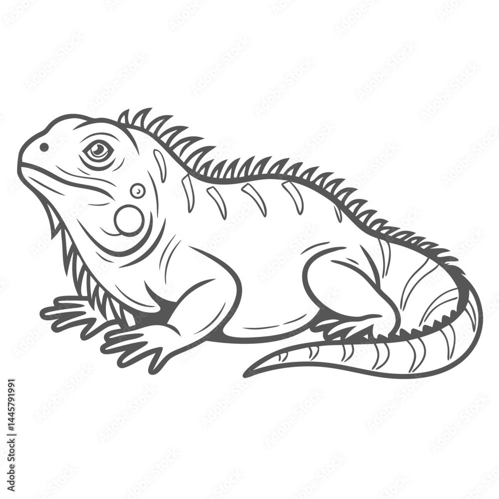 Marine Iguana Line Art Illustration Marine Iguana Line Art Illustration