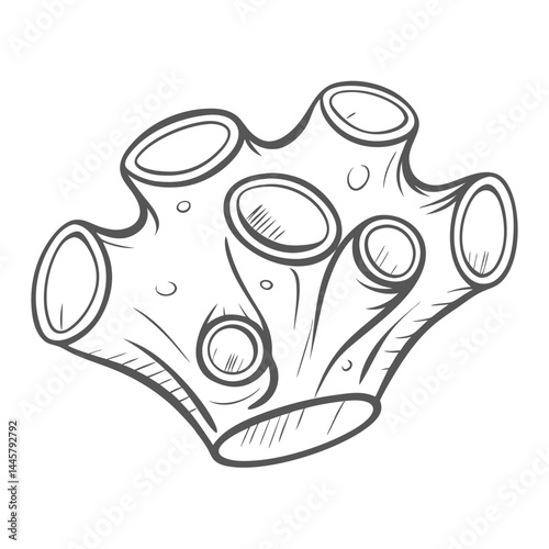Stylized Tunicate Urochordata Outline Illustration